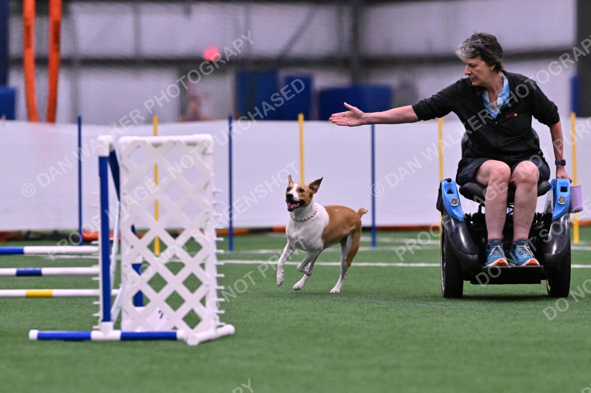 Galadocious-Jeanne-Fogarty-06279