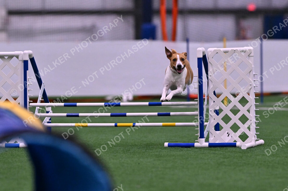 Galadocious-Jeanne-Fogarty-06284