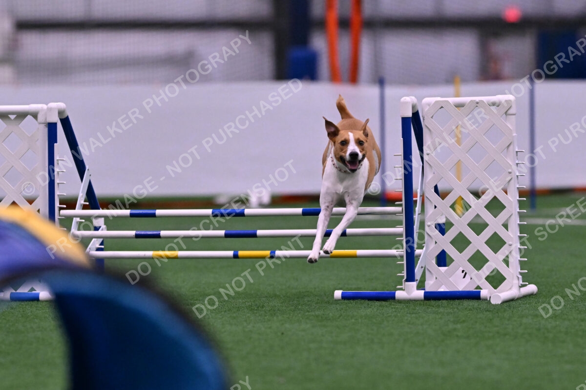 Galadocious-Jeanne-Fogarty-06285