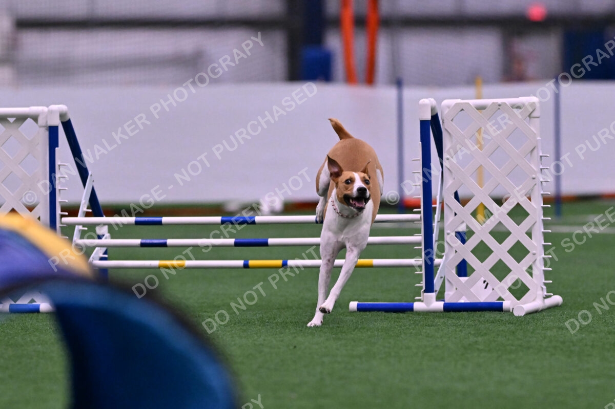 Galadocious-Jeanne-Fogarty-06286