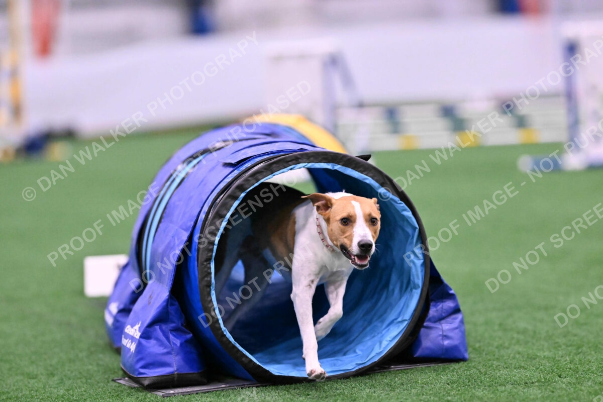 Galadocious-Jeanne-Fogarty-06291