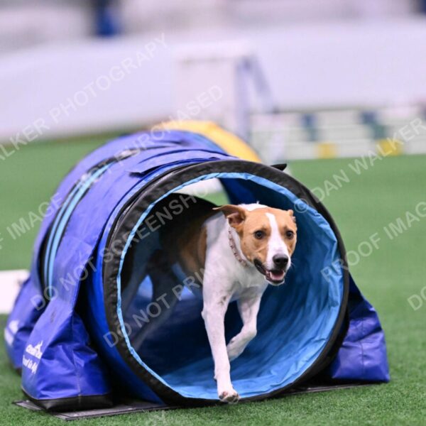 Galadocious-Jeanne-Fogarty-06291