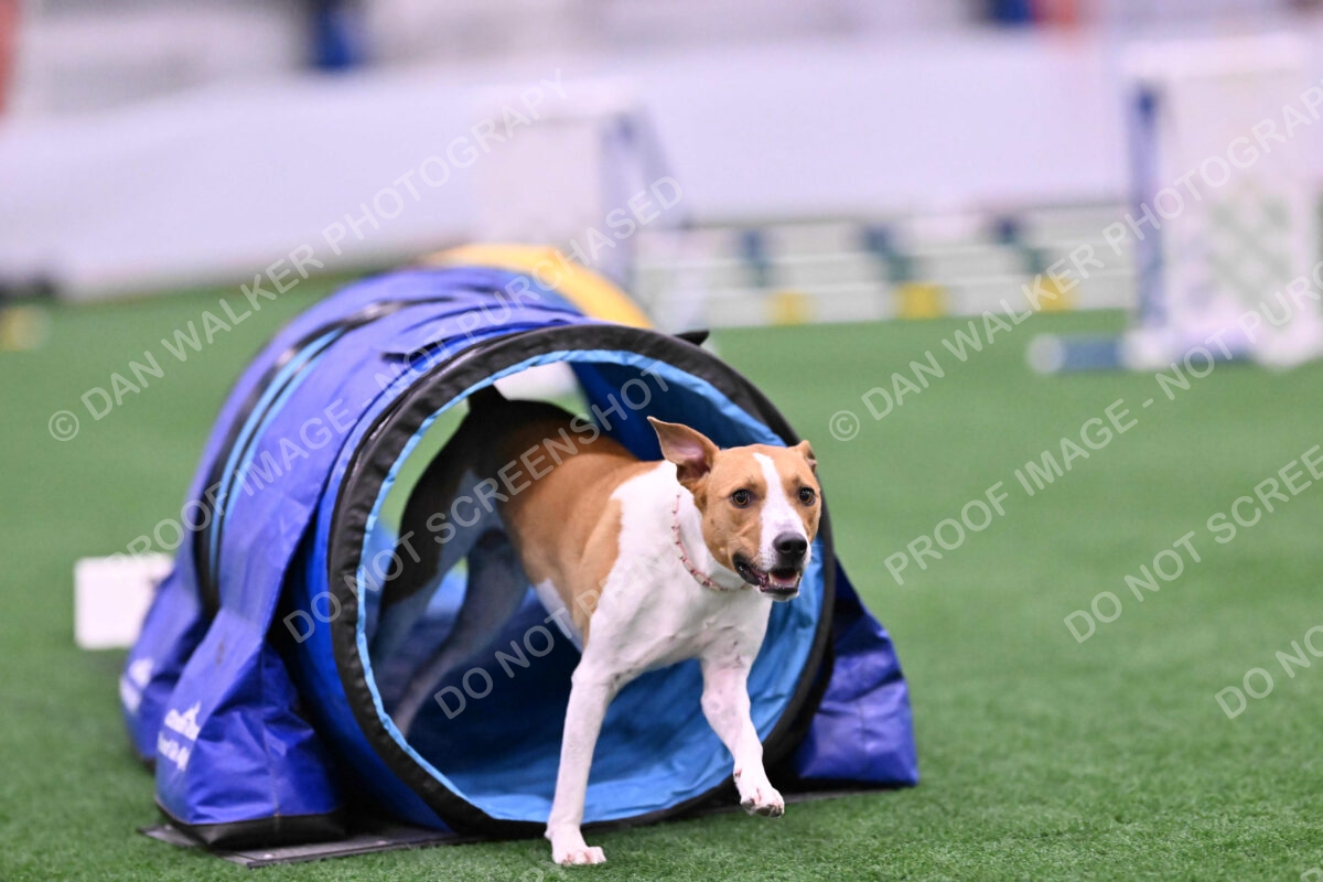 Galadocious-Jeanne-Fogarty-06292