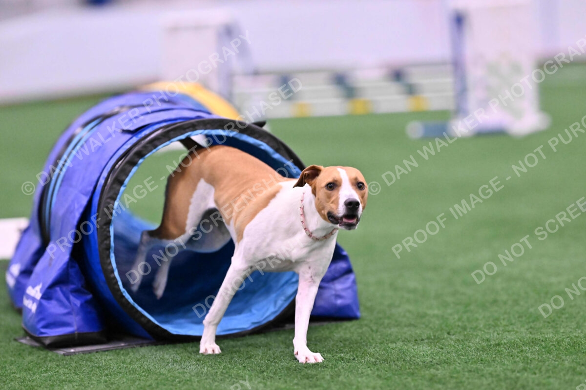 Galadocious-Jeanne-Fogarty-06293