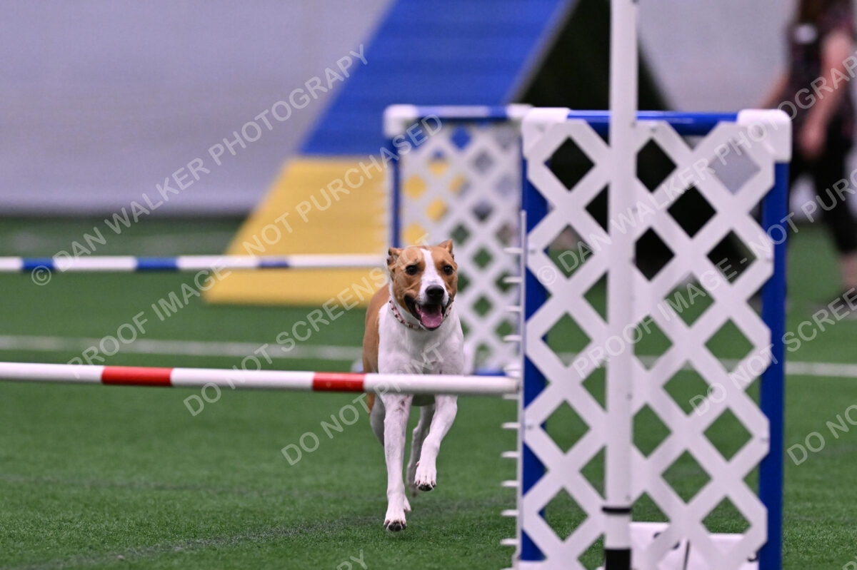 Galadocious-Jeanne-Fogarty-06295