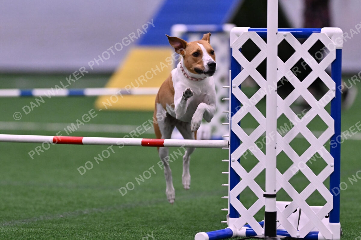 Galadocious-Jeanne-Fogarty-06300