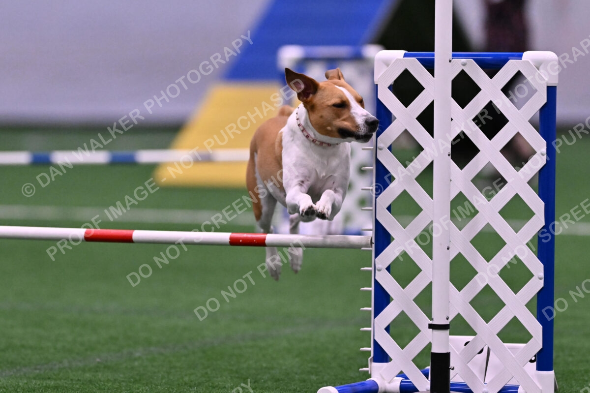 Galadocious-Jeanne-Fogarty-06301