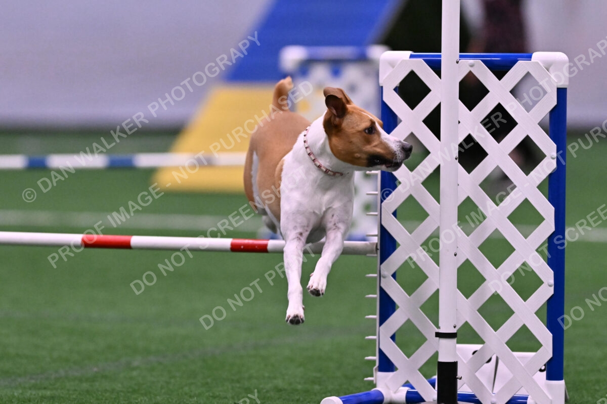 Galadocious-Jeanne-Fogarty-06302