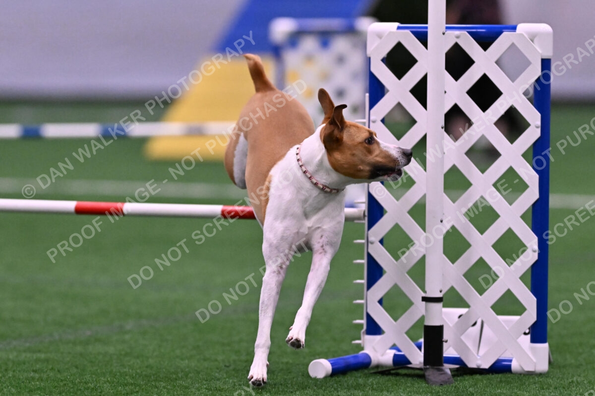 Galadocious-Jeanne-Fogarty-06303