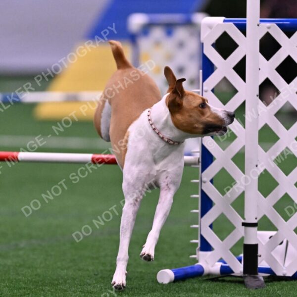 Galadocious-Jeanne-Fogarty-06303