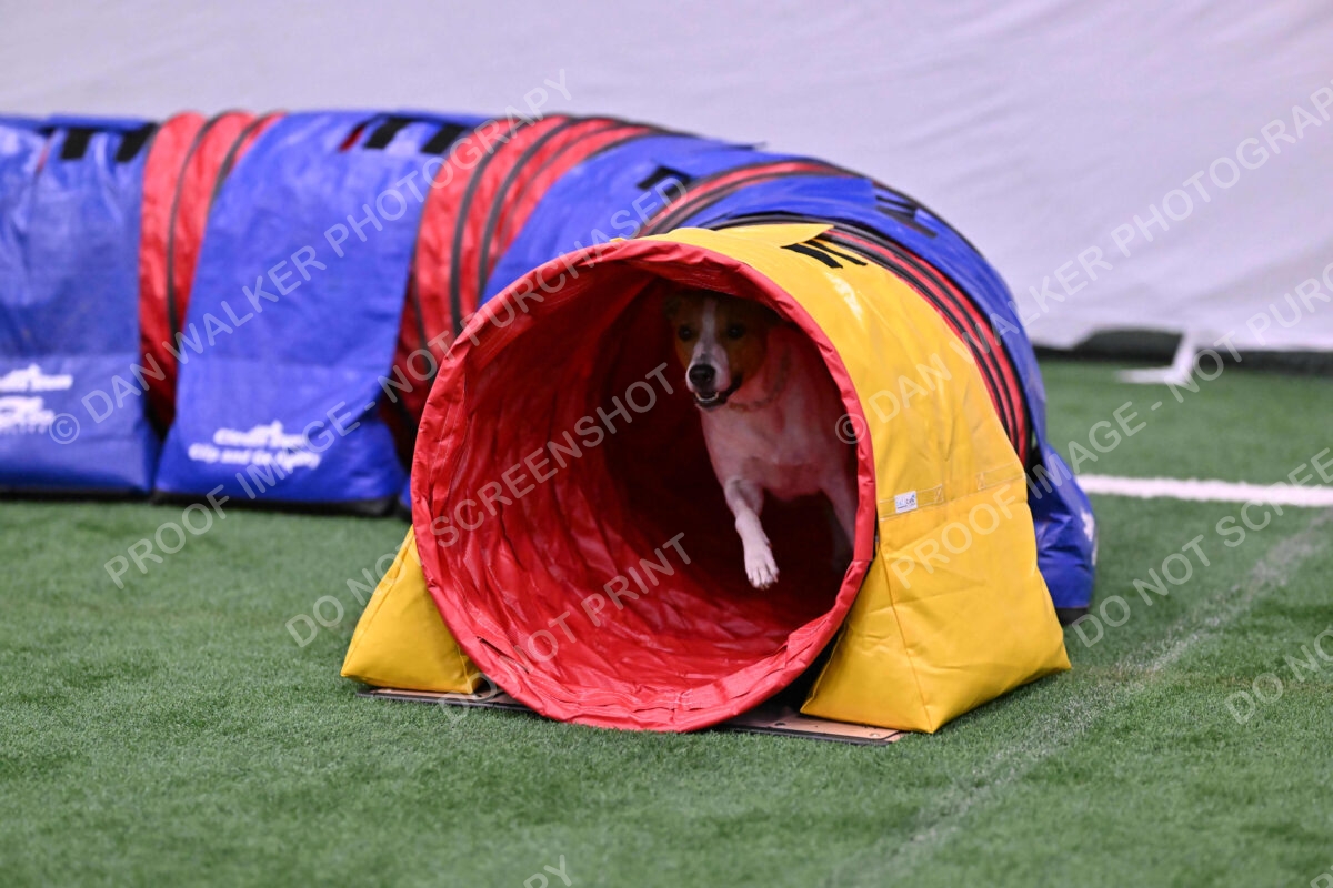 Galadocious-Jeanne-Fogarty-06305