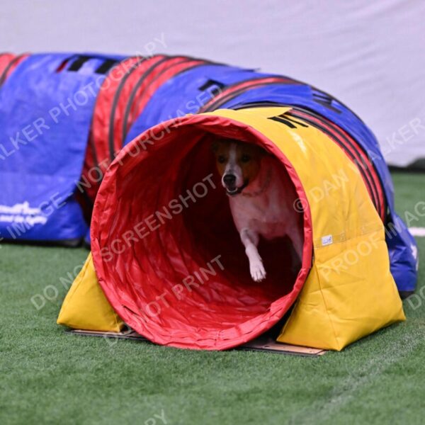 Galadocious-Jeanne-Fogarty-06305