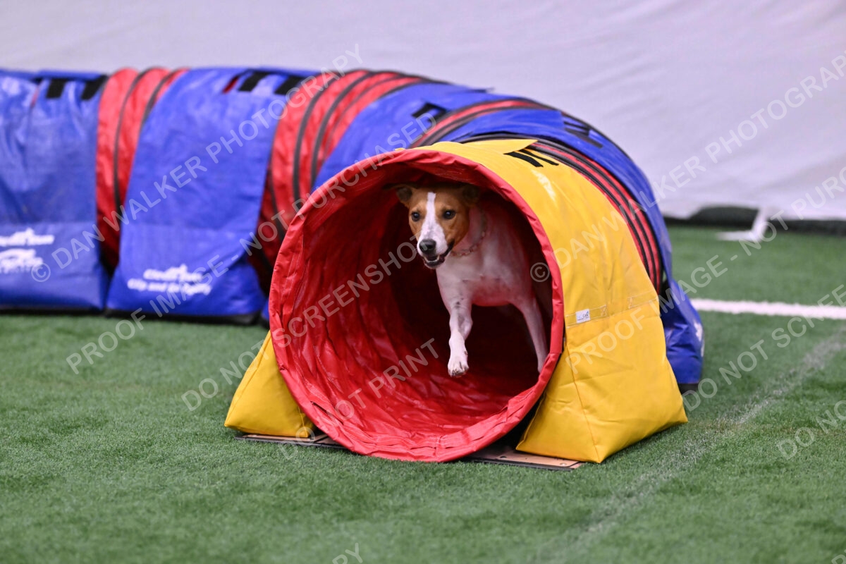 Galadocious-Jeanne-Fogarty-06306