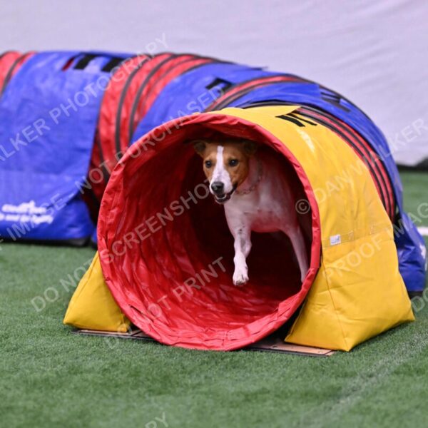 Galadocious-Jeanne-Fogarty-06306