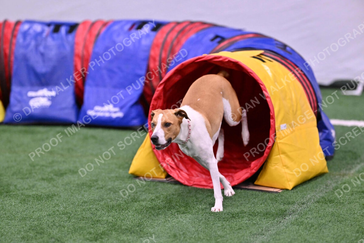 Galadocious-Jeanne-Fogarty-06311