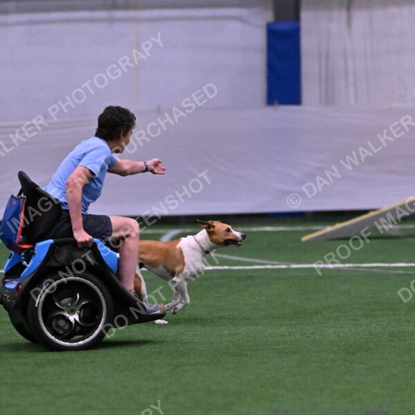 Galadocious-Jeanne-Fogarty-06315