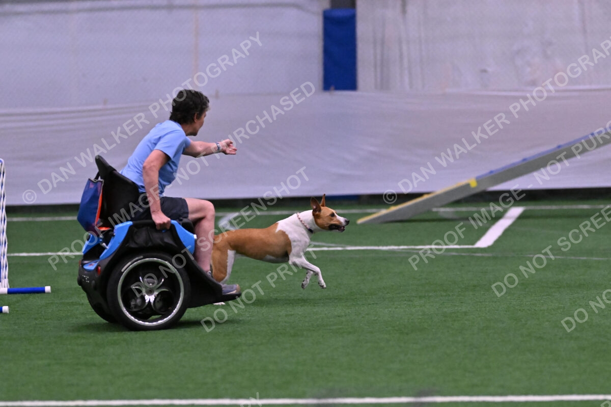 Galadocious-Jeanne-Fogarty-06316