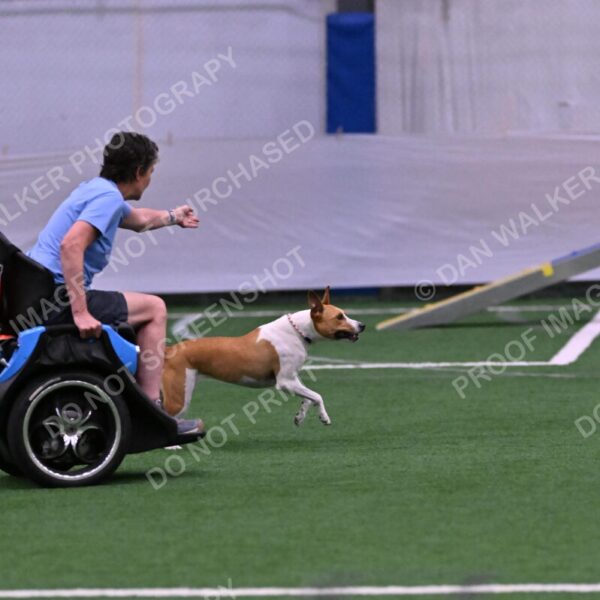 Galadocious-Jeanne-Fogarty-06316