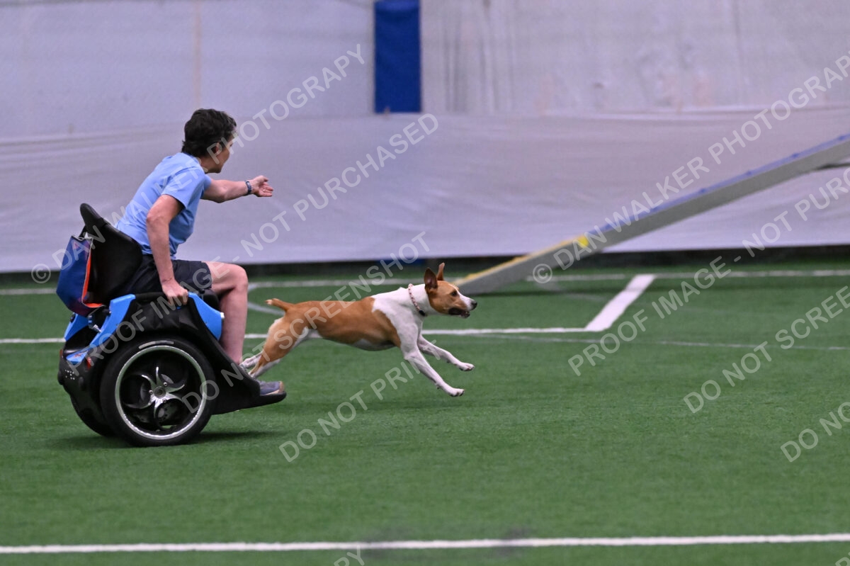 Galadocious-Jeanne-Fogarty-06317