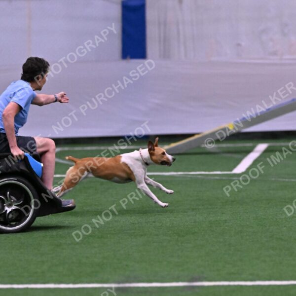 Galadocious-Jeanne-Fogarty-06317