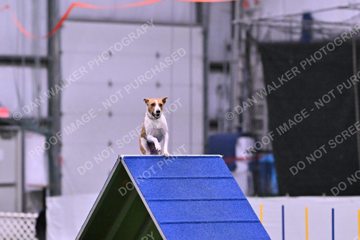 Galadocious-Jeanne-Fogarty-06318