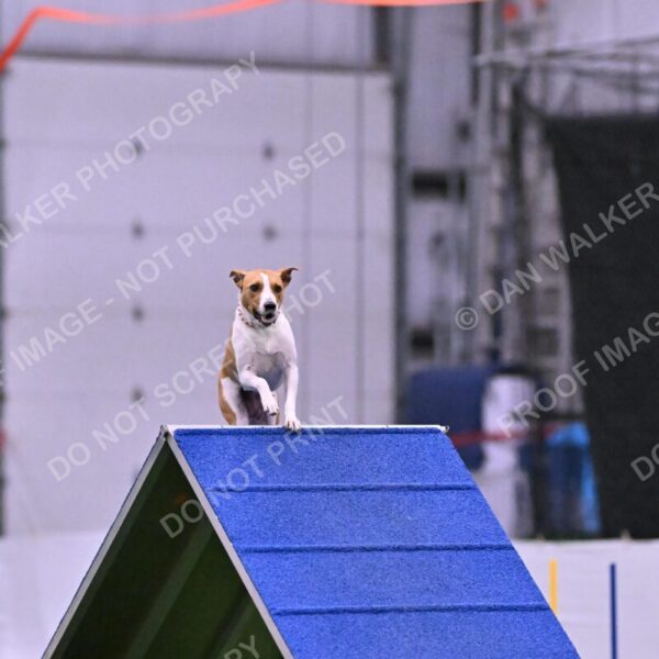 Galadocious-Jeanne-Fogarty-06318