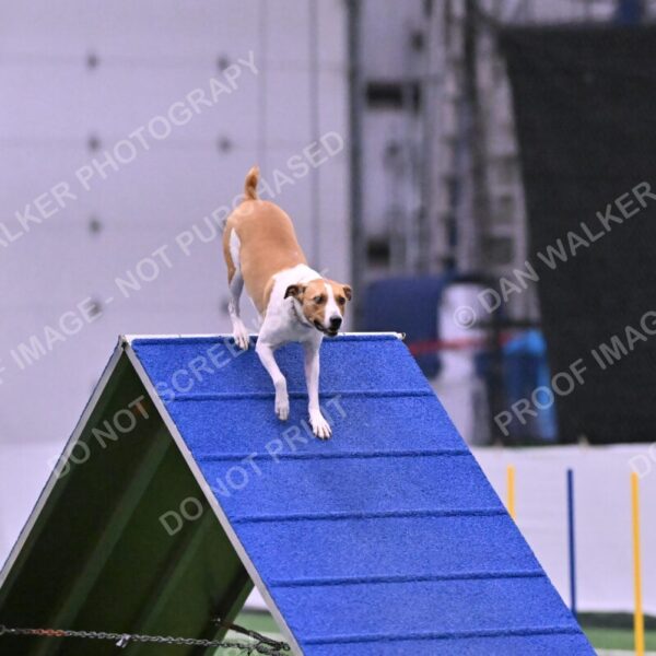 Galadocious-Jeanne-Fogarty-06321