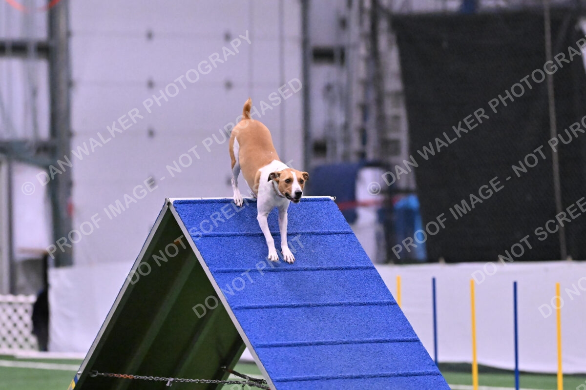 Galadocious-Jeanne-Fogarty-06322