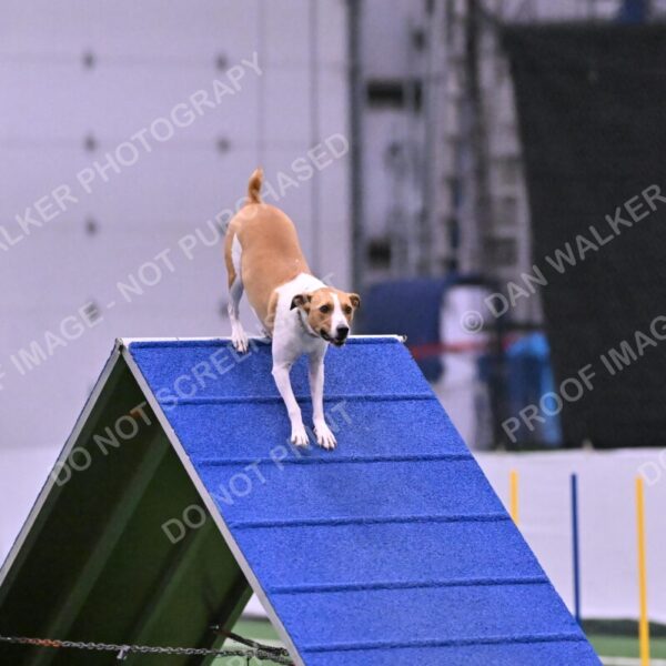 Galadocious-Jeanne-Fogarty-06322