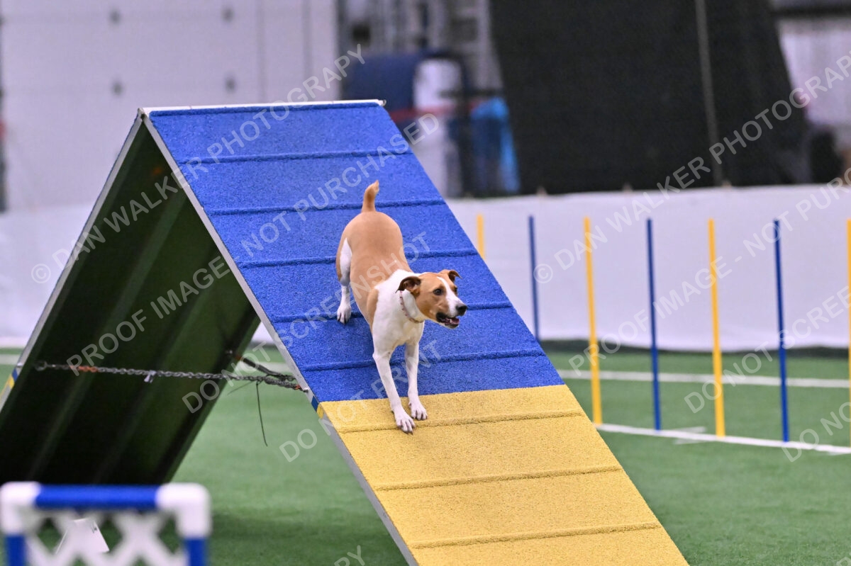 Galadocious-Jeanne-Fogarty-06326