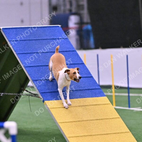 Galadocious-Jeanne-Fogarty-06326