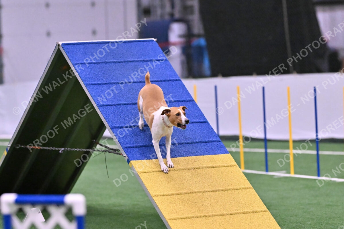 Galadocious-Jeanne-Fogarty-06327