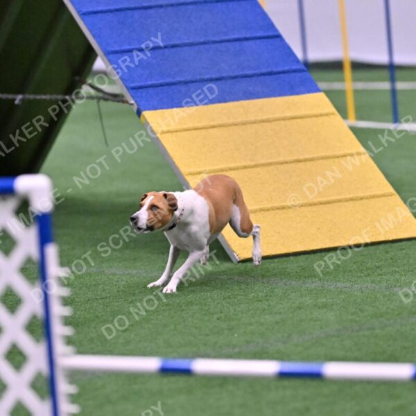 Galadocious-Jeanne-Fogarty-06329