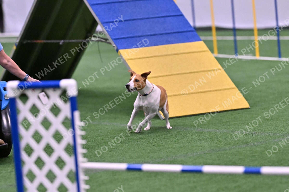 Galadocious-Jeanne-Fogarty-06331