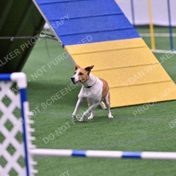 Galadocious-Jeanne-Fogarty-06331