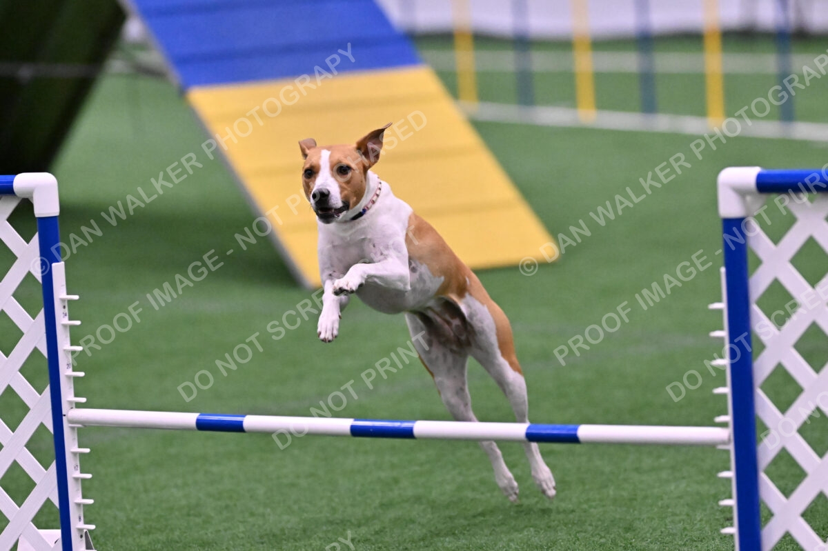 Galadocious-Jeanne-Fogarty-06333