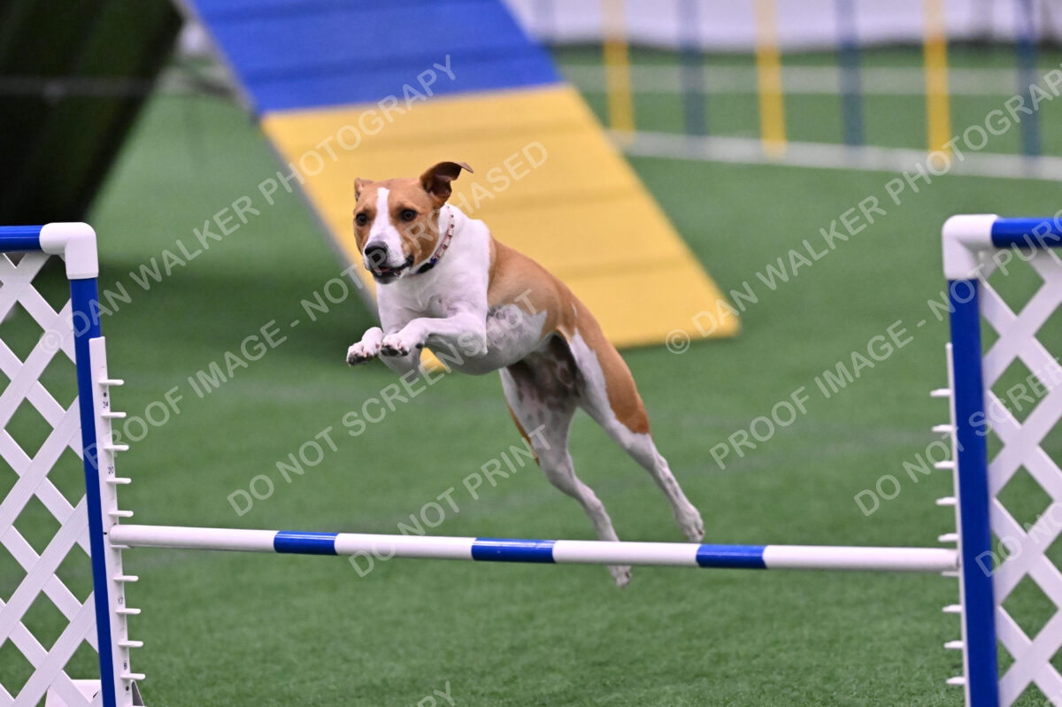 Galadocious-Jeanne-Fogarty-06334