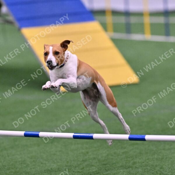 Galadocious-Jeanne-Fogarty-06334