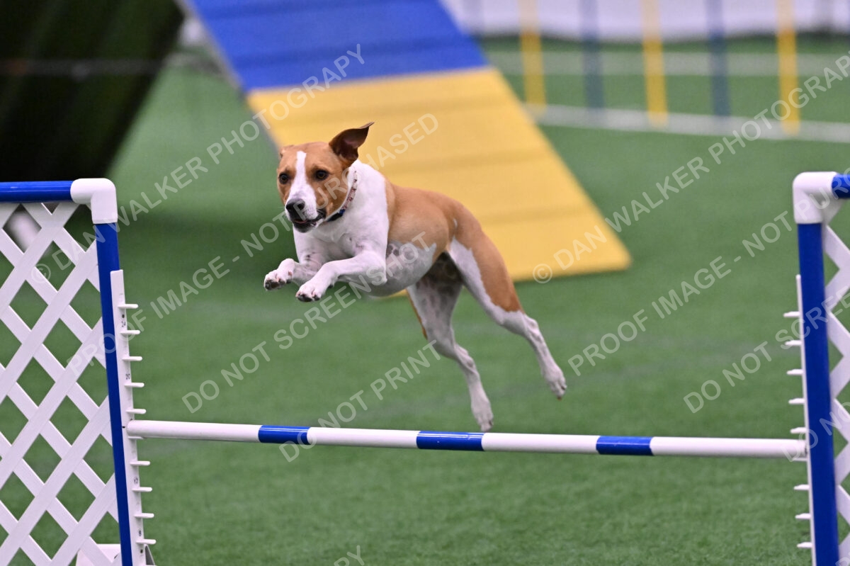 Galadocious-Jeanne-Fogarty-06335