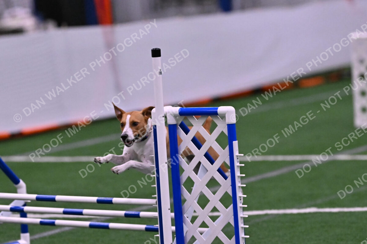 Galadocious-Jeanne-Fogarty-06343