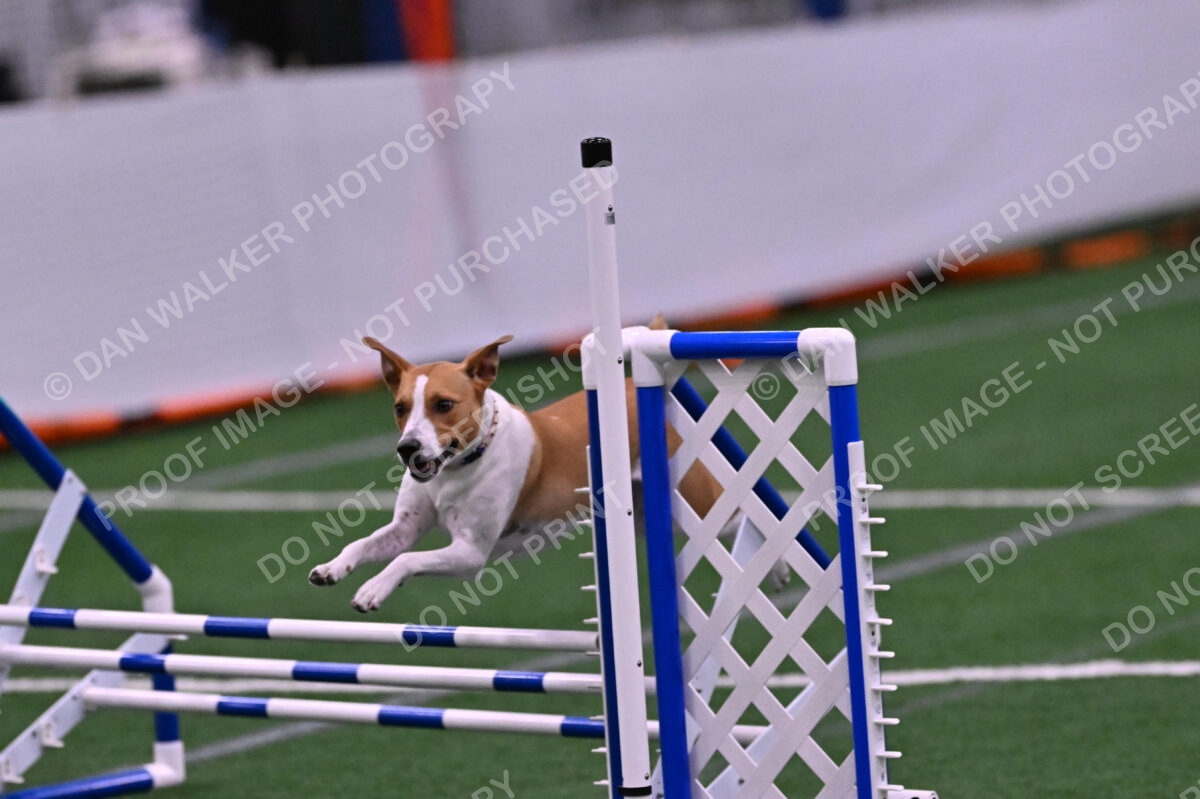 Galadocious-Jeanne-Fogarty-06344