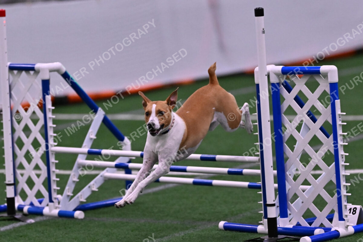 Galadocious-Jeanne-Fogarty-06346