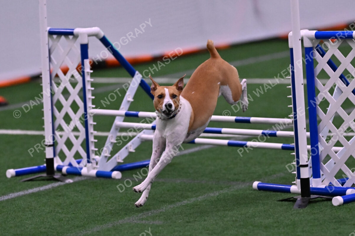 Galadocious-Jeanne-Fogarty-06347