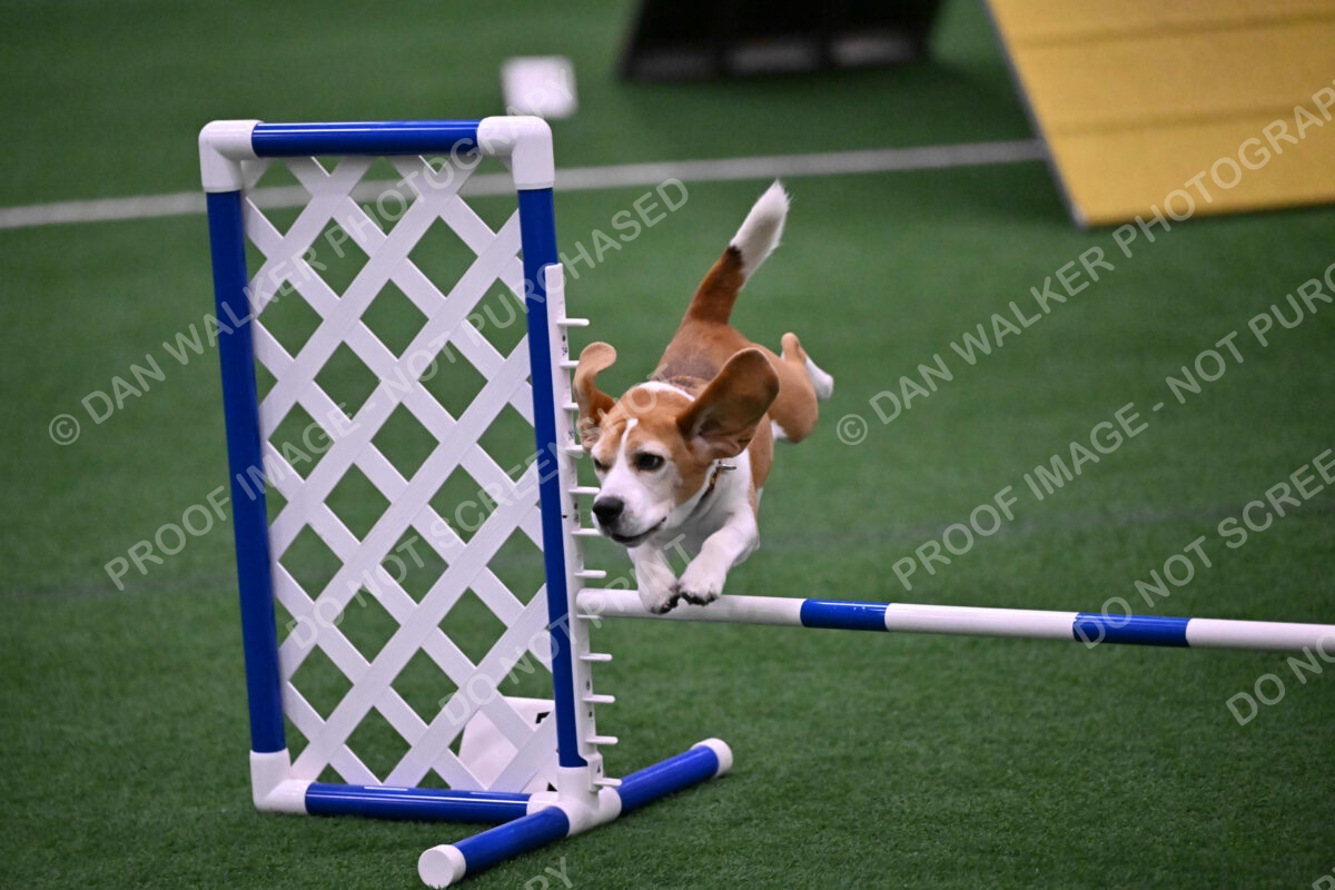 Kanan-Ursula-Lehman-00184