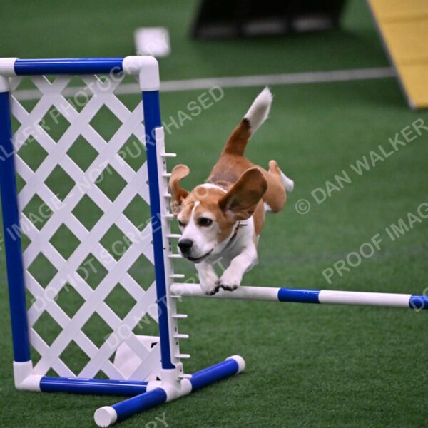 Kanan-Ursula-Lehman-00184