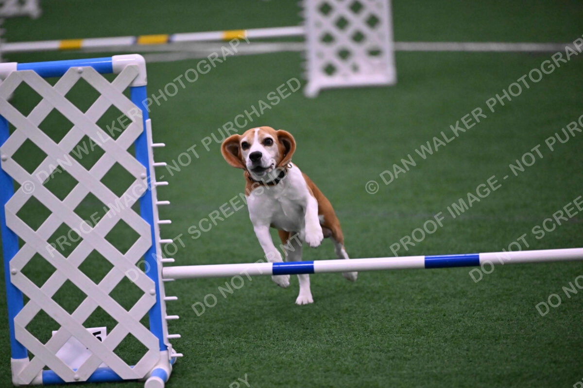 Kanan-Ursula-Lehman-00185