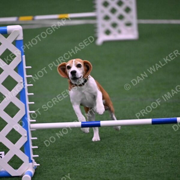 Kanan-Ursula-Lehman-00185