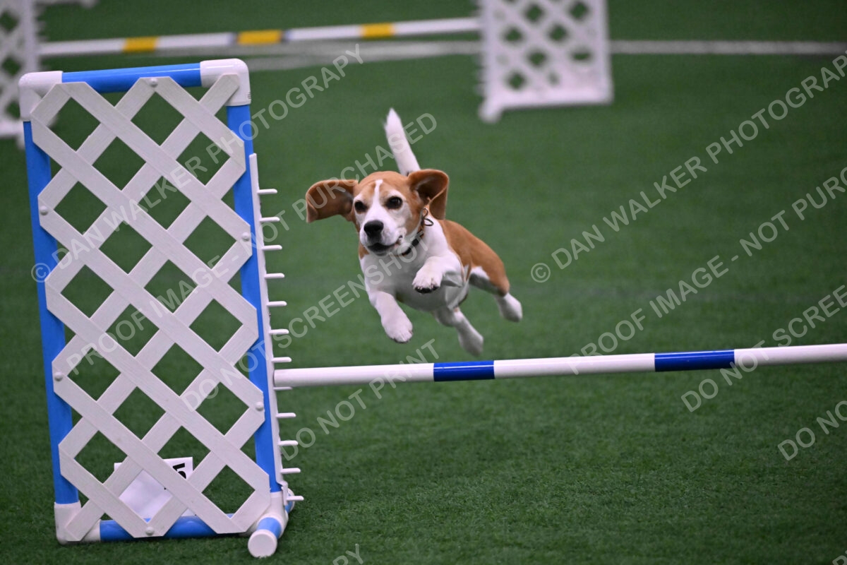 Kanan-Ursula-Lehman-00186