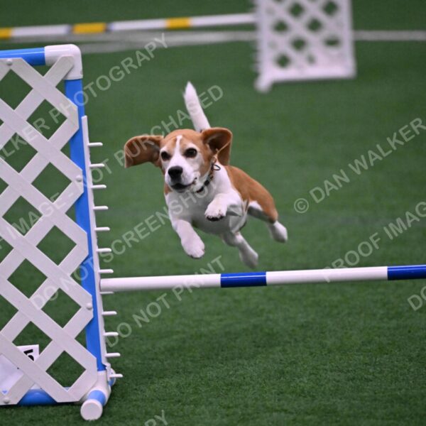 Kanan-Ursula-Lehman-00186