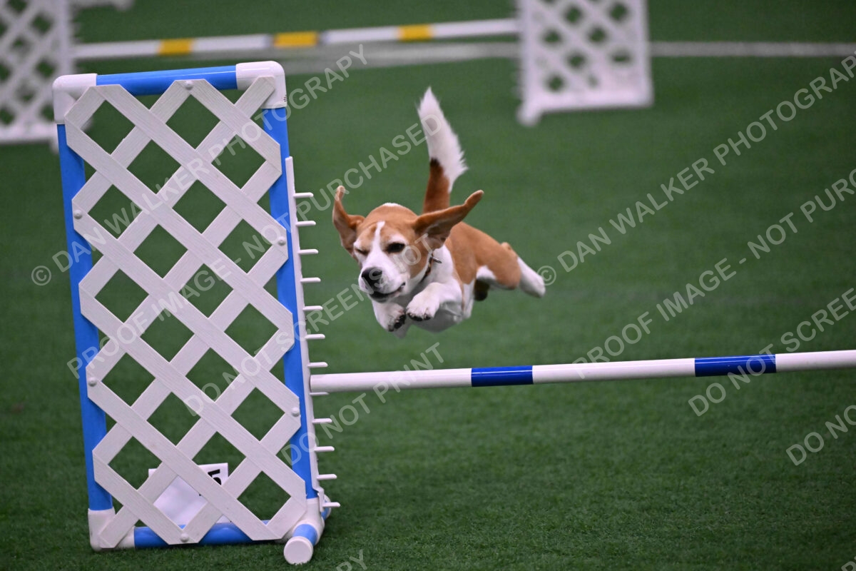 Kanan-Ursula-Lehman-00187